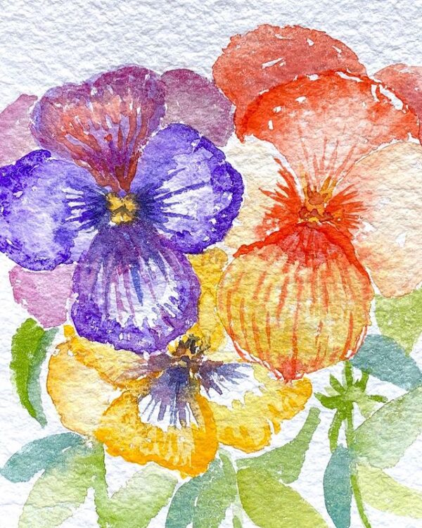 Pansies